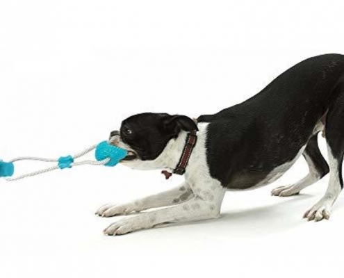 Best suction cup dog toys