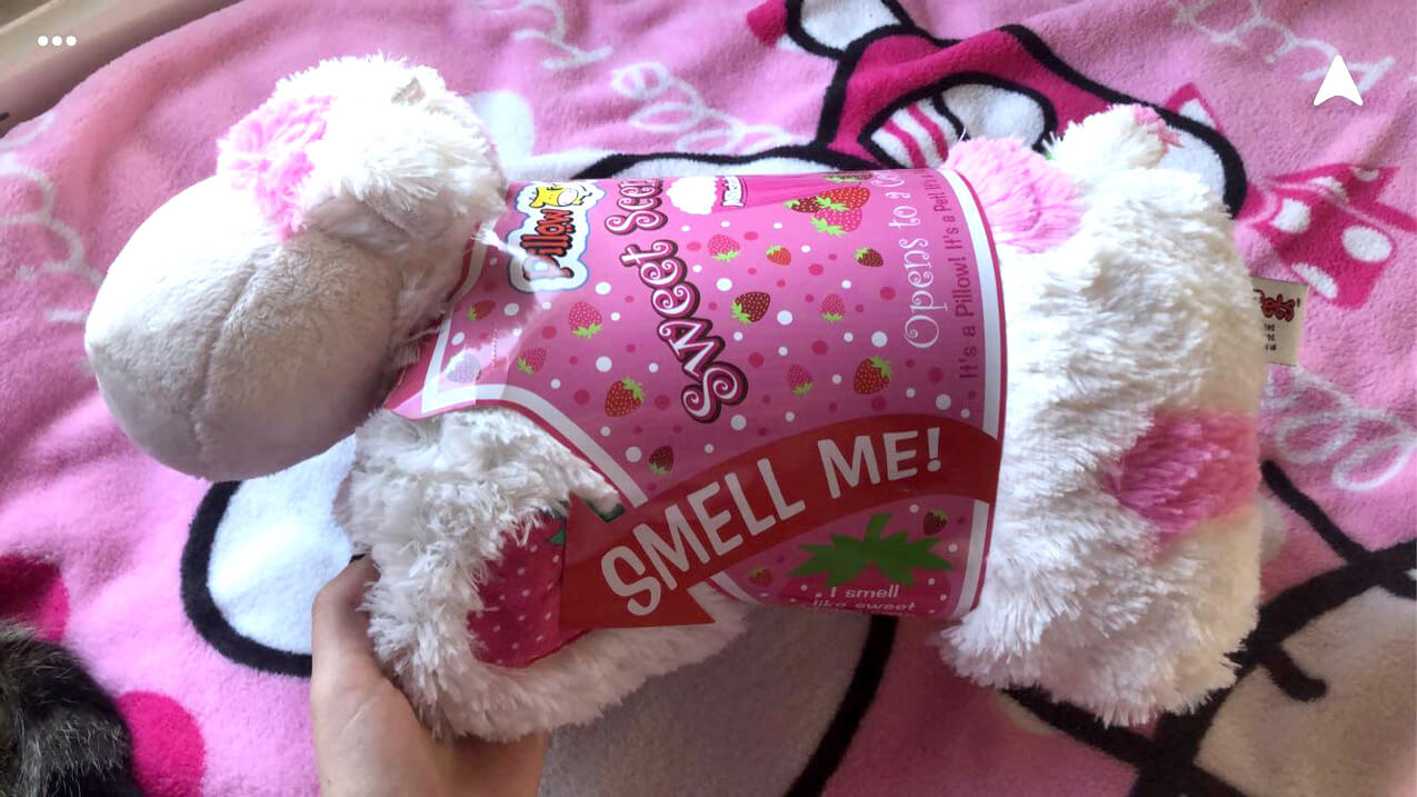 Strawberry Milkshake Pillow Pet Packaging