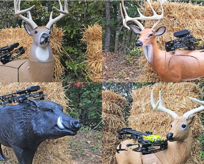 3d Archery Targets